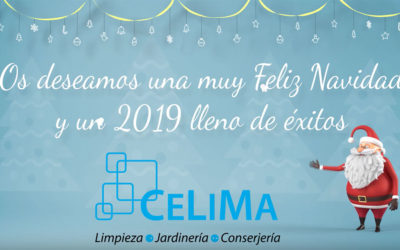 Os deseamos Feliz Navidad y Próspero año 2019