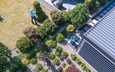 Primavera en perfecto estado: Planifica el mantenimiento de tus zonas comunes con Celima, tu aliado en valor y bienestar